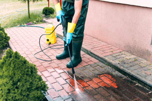 Best Driveway Pressure Washing  in Rockledge, PA