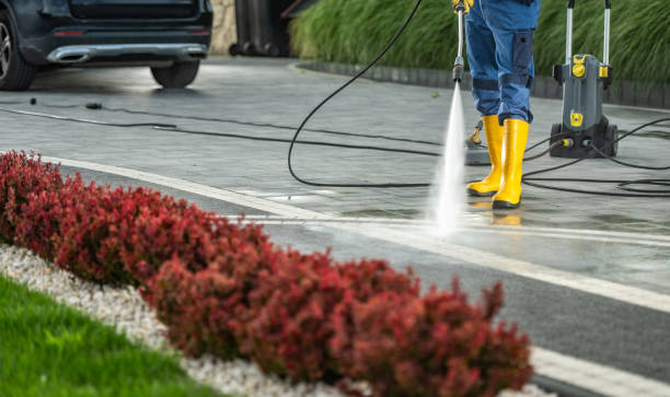 Best Sidewalk and Walkway Cleaning  in Rockledge, PA